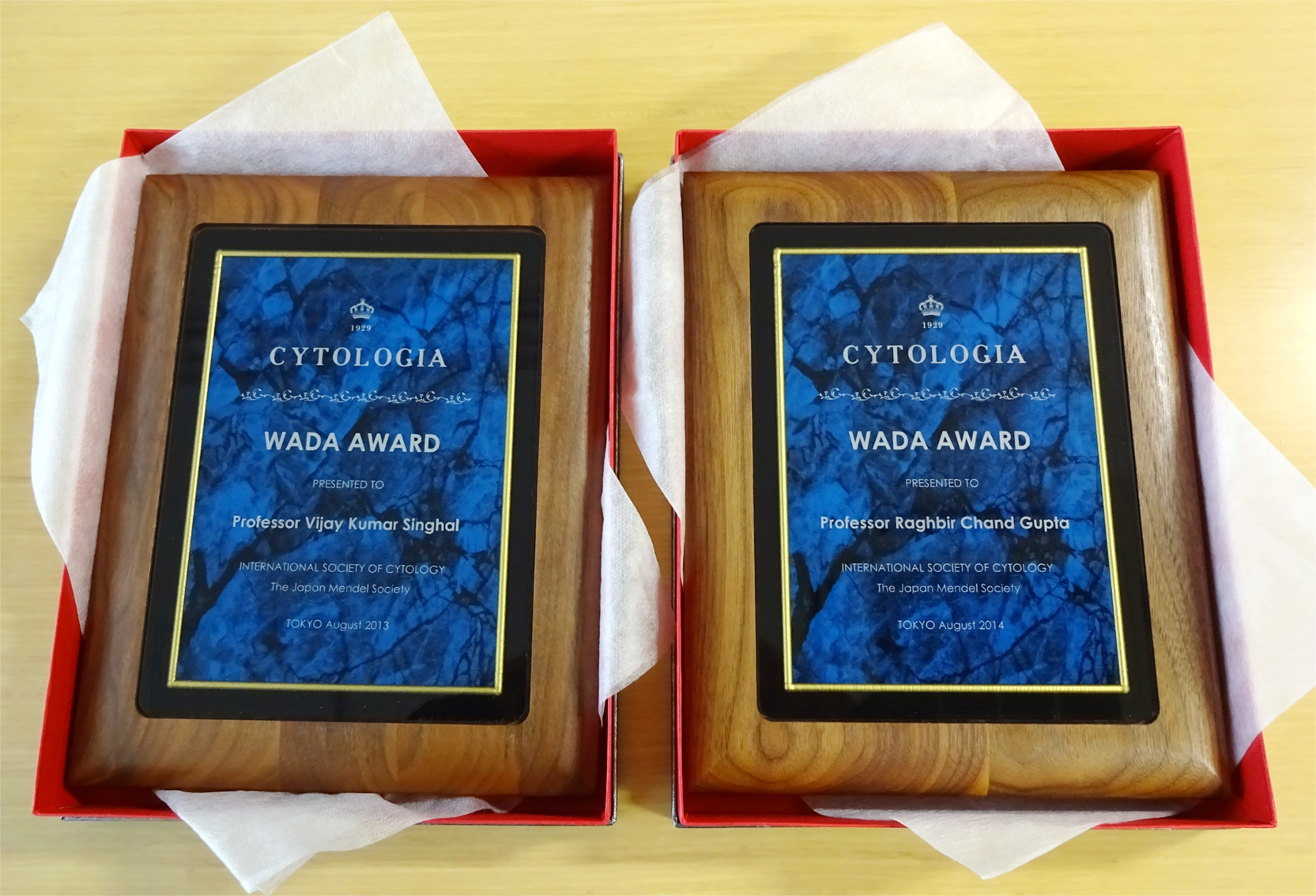 The third and the fourth Wada Memorial Award plates